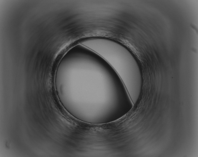 X0000093210392200709261429