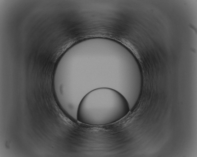 X0000093210393200709261429