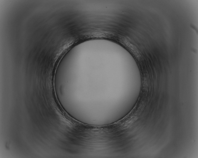 X0000093210394200709261429