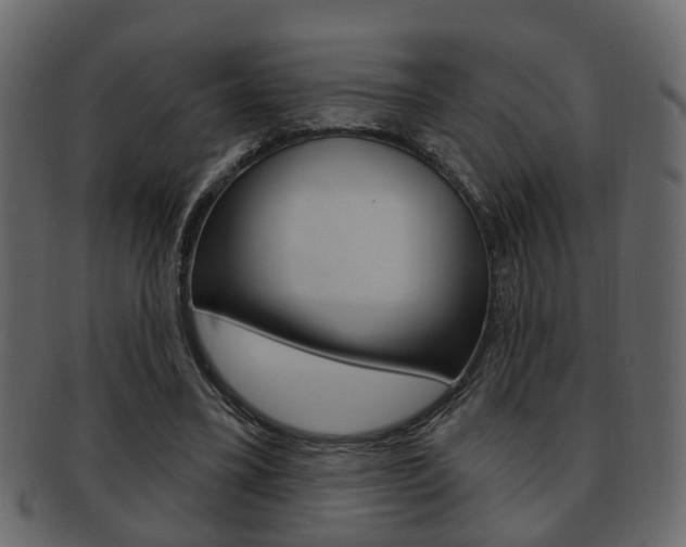 X0000093210395200709261429