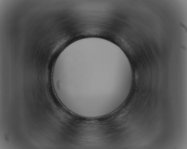 X0000093210396200709261429