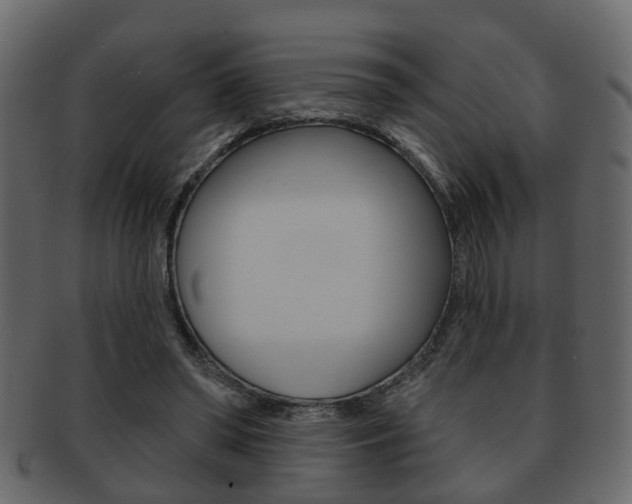 X0000093210398200709261429