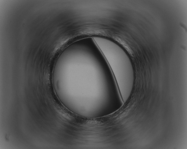 X0000093210399200709261429