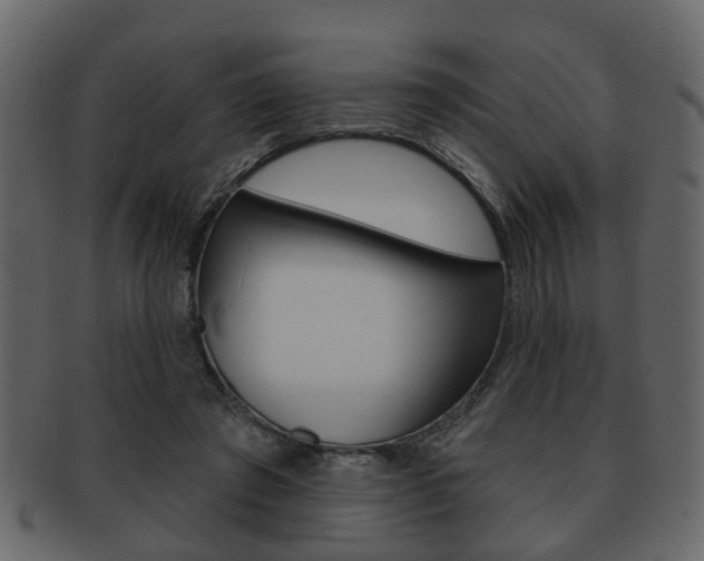 X0000093210401200709261429