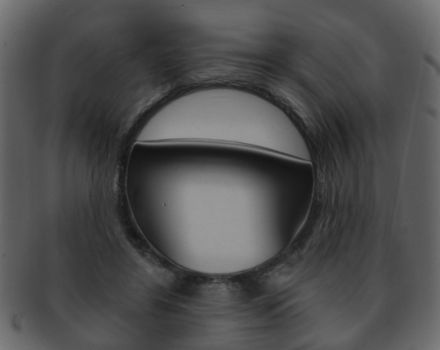 X0000093210404200709261429