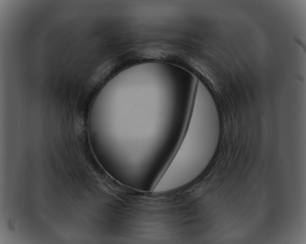 X0000093210407200709261429