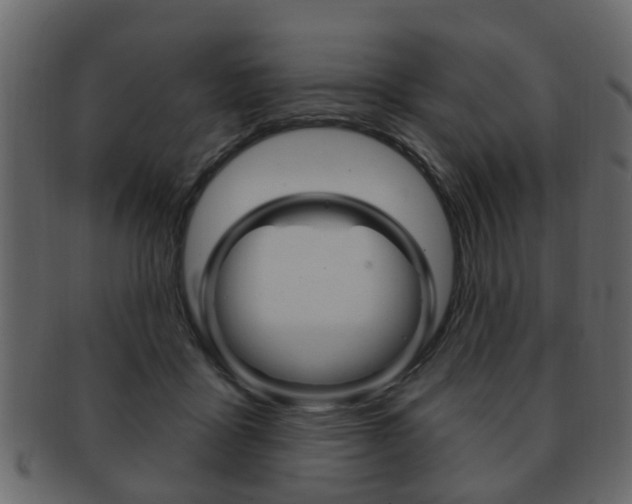 X0000093210411200709261429