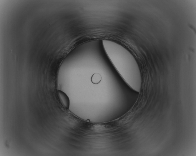X0000093210413200709261429