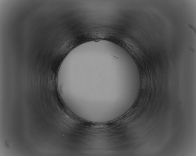 X0000093210414200709261429