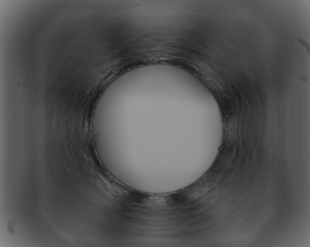 X0000093210418200709261429
