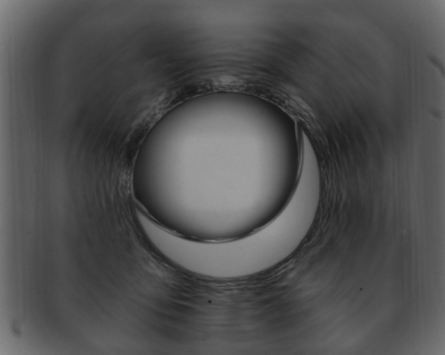 X0000093210419200709261429