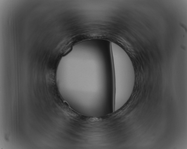 X0000093210421200709261429