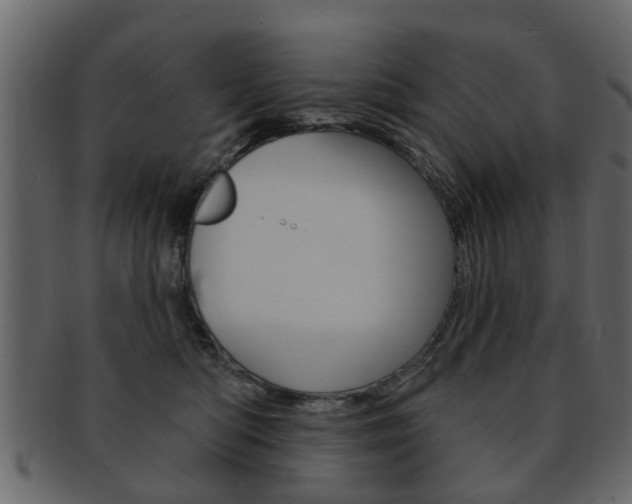 X0000093210422200709261429