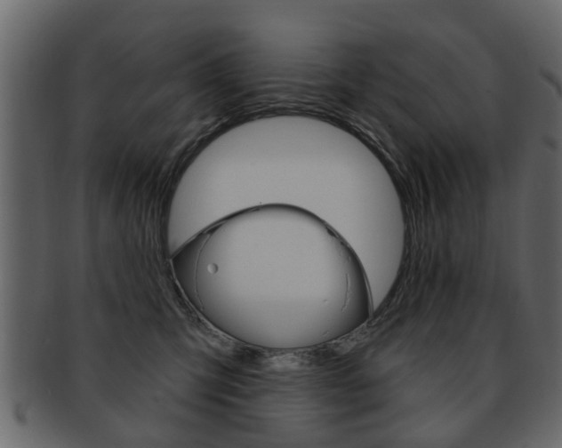 X0000093210423200709261429