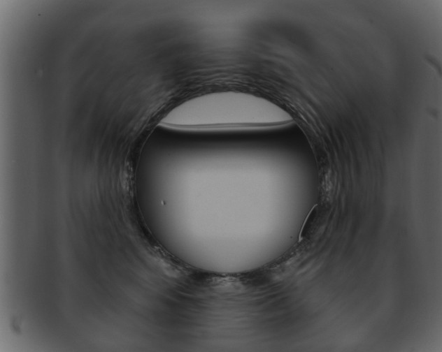 X0000093210424200709261429