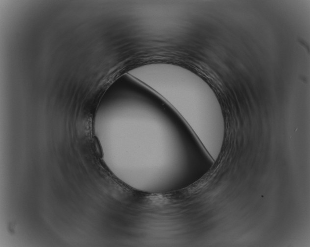 X0000093210425200709261429