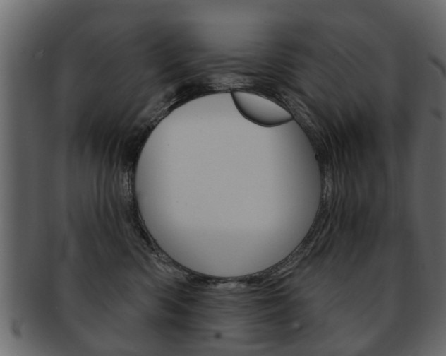 X0000093210426200709261429