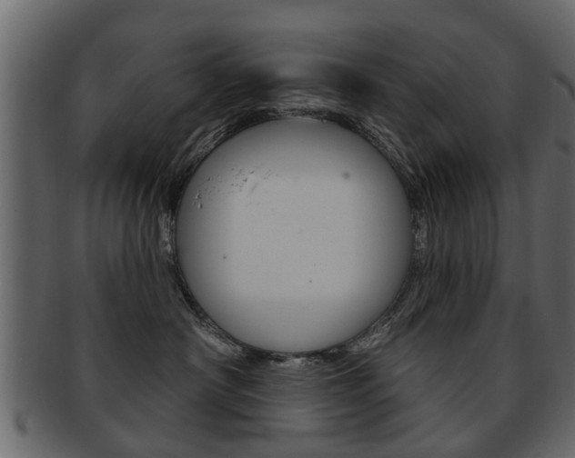 X0000093210430200709261429