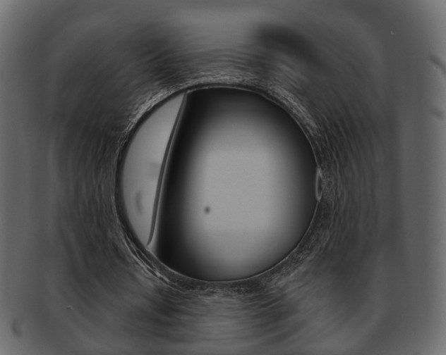X0000093210434200709261428