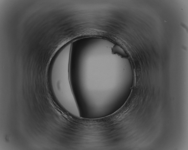 X0000093210435200709261428