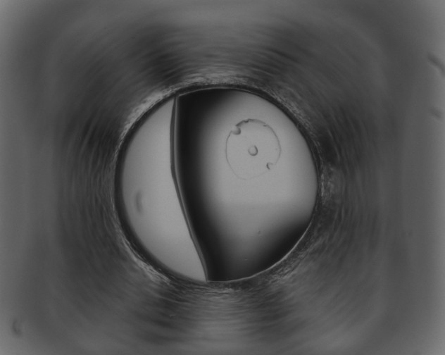 X0000093210438200709261428