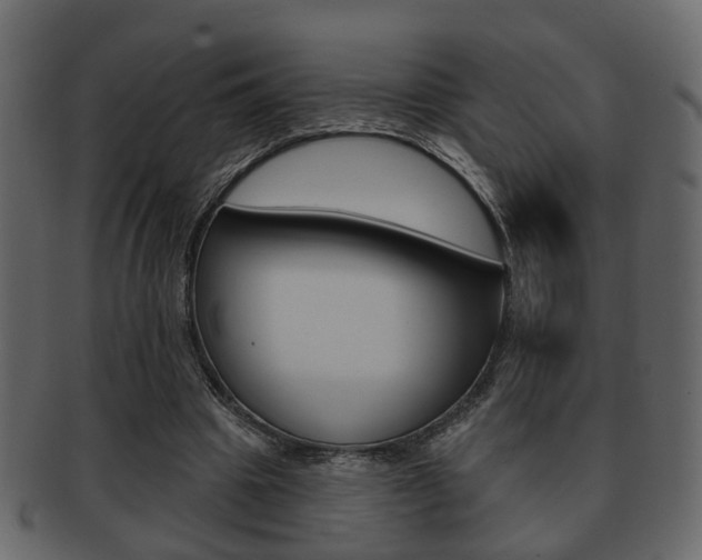 X0000093210441200709261428