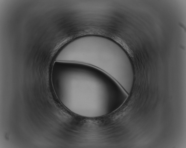 X0000093210442200709261428