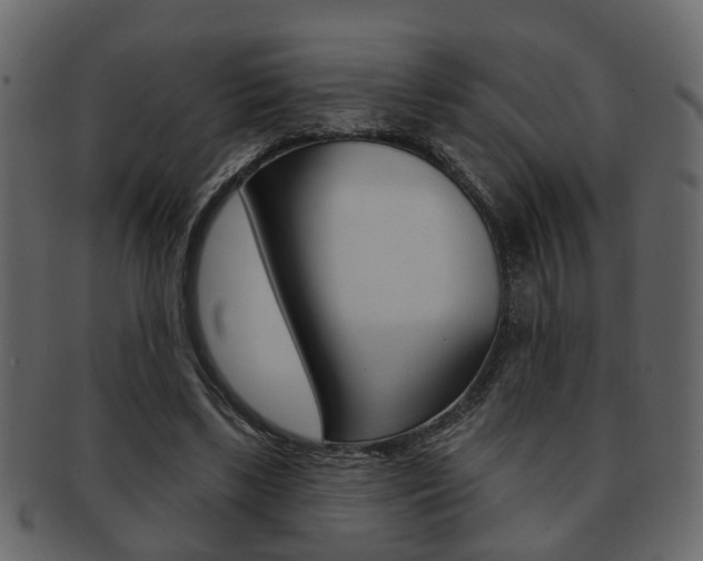 X0000093210443200709261428