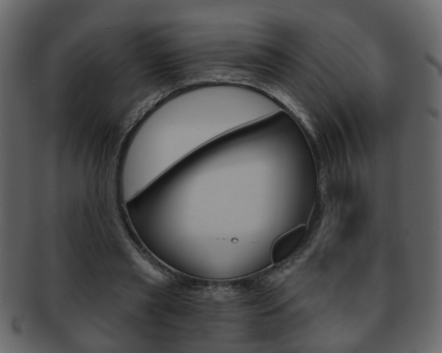 X0000093210445200709261428