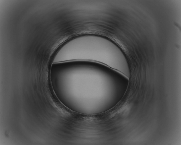 X0000093210446200709261428