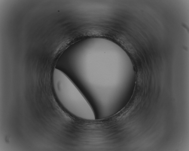 X0000093210449200709261428