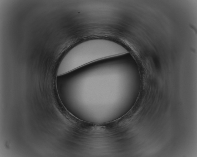 X0000093210451200709261428