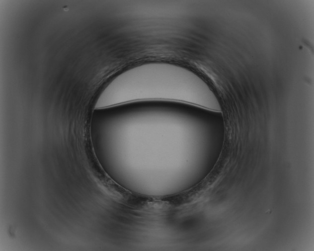 X0000093210455200709261428