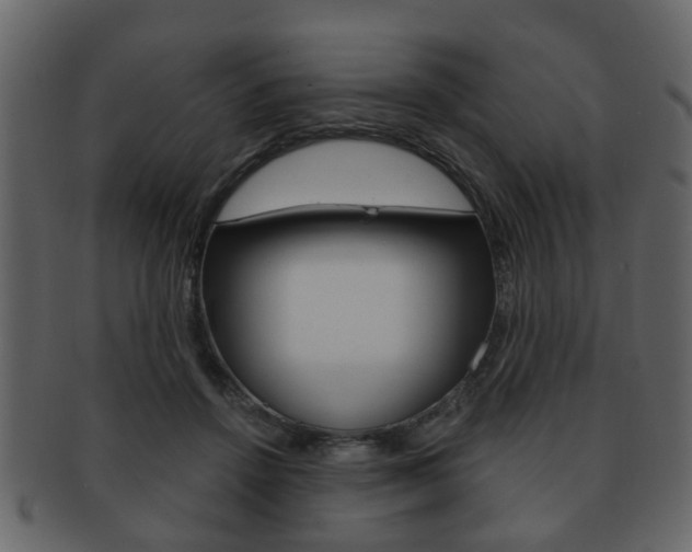 X0000093210456200709261428