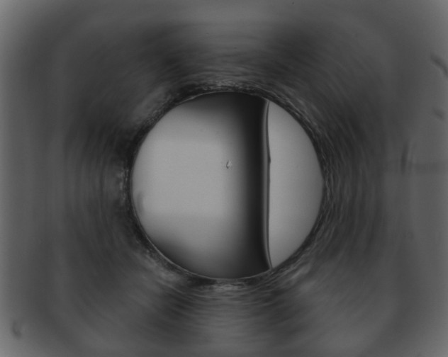 X0000093210462200709261428