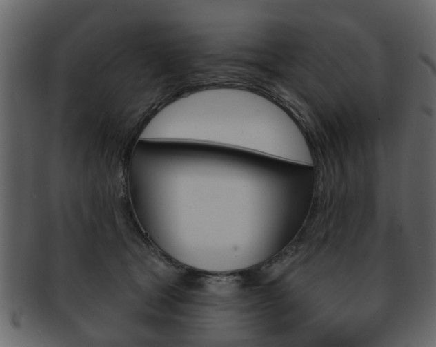 X0000093210465200709261428
