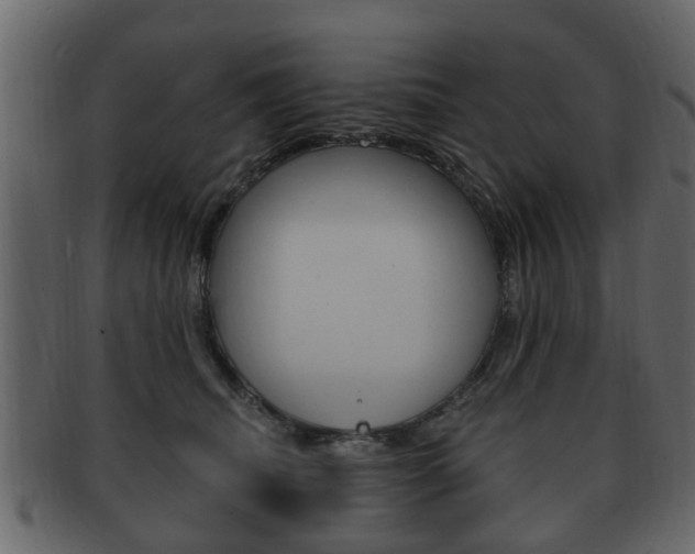 X0000093210468200709261428
