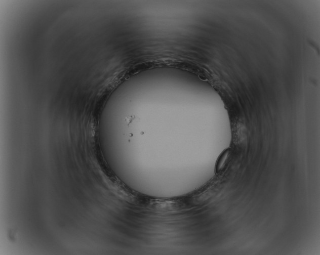 X0000093210472200709261429