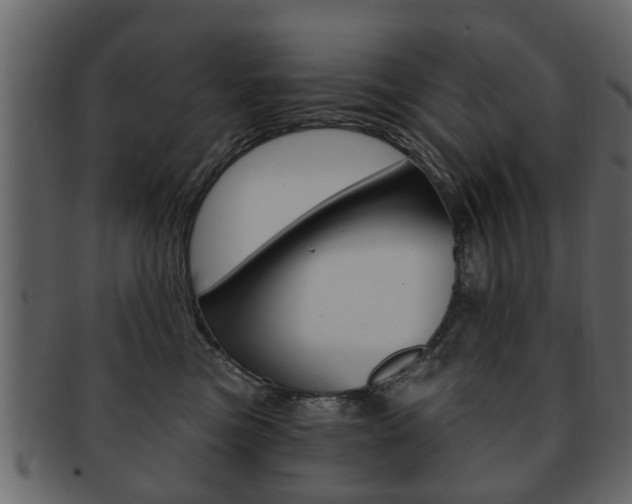 X0000093210473200709261429