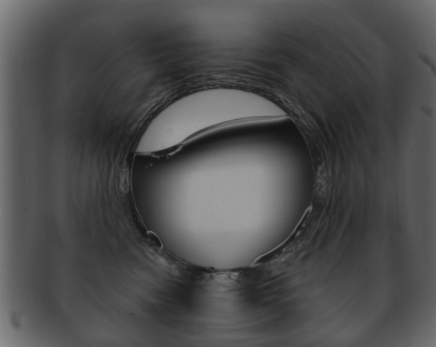 X0000093210474200709261429