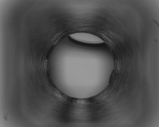 X0000093210475200709261429
