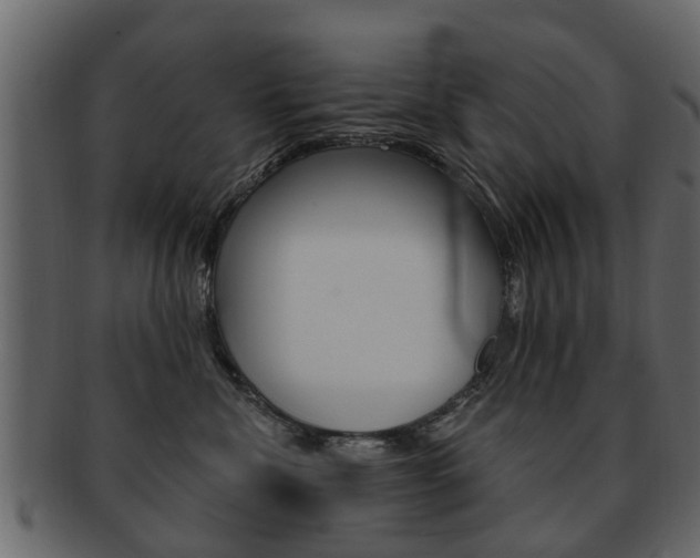 X0000093210476200709261429