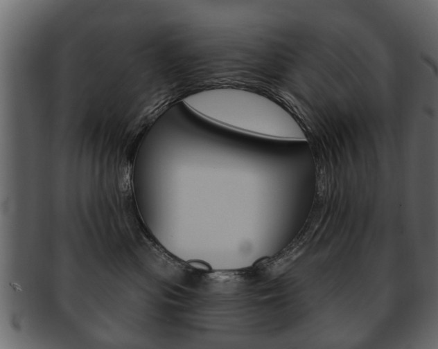 X0000093210477200709261429