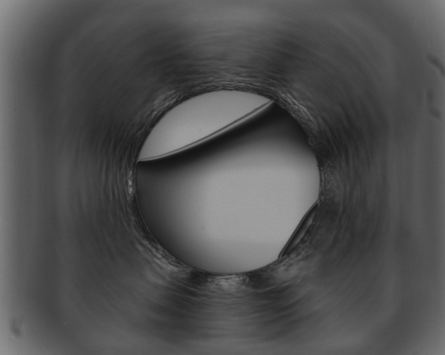 X0000093210479200709261429