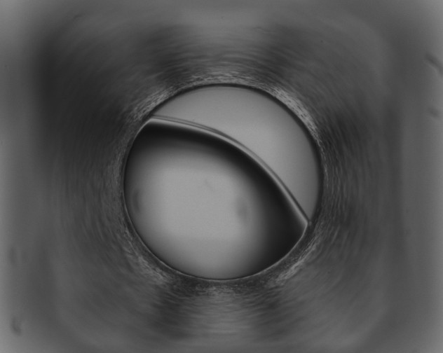 X0000093210481200709261428