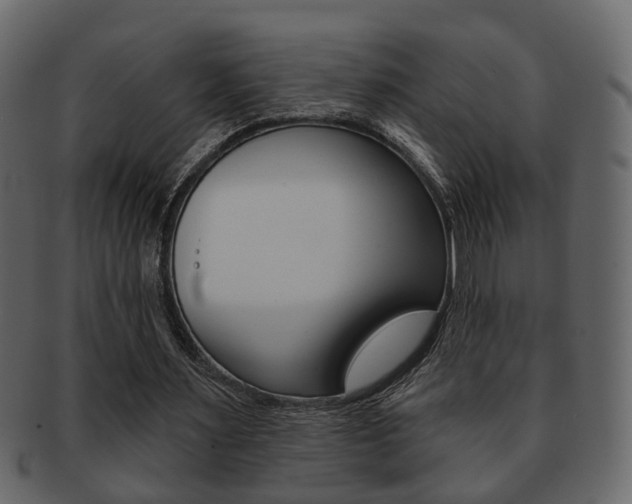 X0000093210483200709261428