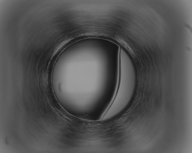 X0000093210484200709261428