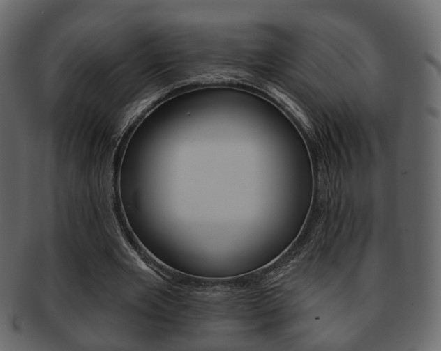 X0000093210485200709261428