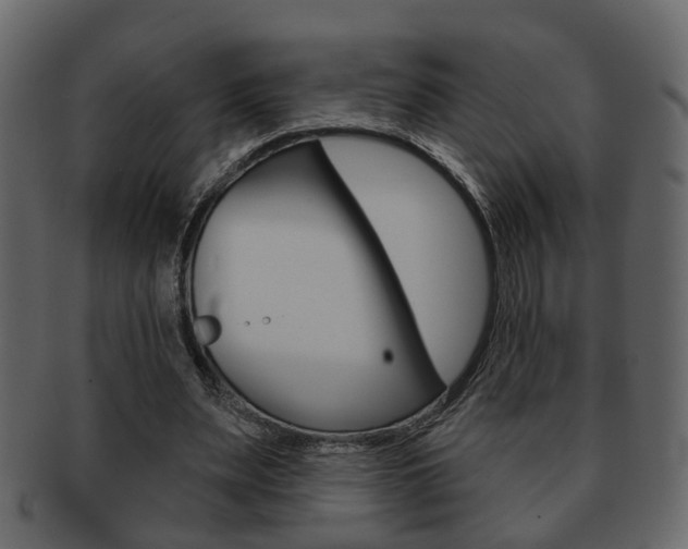 X0000093210487200709261428