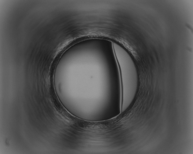 X0000093210488200709261428